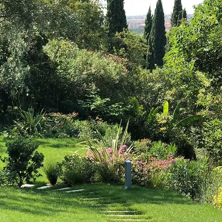 Il Bacio Del Sole *