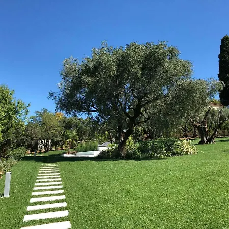 Il Bacio Del Sole *